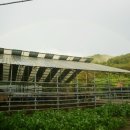 안터사슴농장 이미지