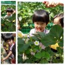 용재농장 이미지