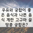 우유와 궁합이 좋은 음식과 나쁜 음식 이미지