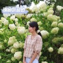 가양테크노타운매점 | 송도 해돋이공원 분수 물놀이터 주차 산책로 인천 데이트 가볼만한곳