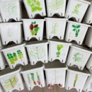 신영유치원 이미지