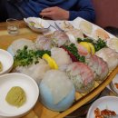 여자만 회 타운 이미지