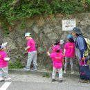 봉제산 등촌동 숲속놀이터 이미지