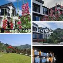 완도읍사무소 티스토리