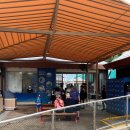 돌고래약품 | 싱가포르 어드벤처 코브 2, 만 4세 아이와 즐기기, 돌고래 체험 (Exploration), 송파 바쿠테