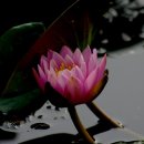 군포문화원 이미지