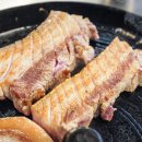 진해목구멍