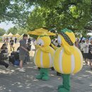 성주농업협동조합자동판매장 | 📌[경북 성주]2026 성주 참외 생명문화축제 다녀오기 좋은 이유!