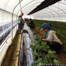 은자농장 이미지