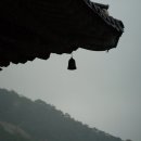 유스타운 Daum카페