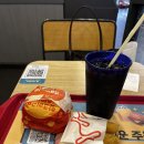 김밥나라 고덕점 | 11월 일상 ㅣ태어나서 처음 장어덮밥 먹어보기 • 춘천 다녀오기 • 상하이 여행 짧은 후기