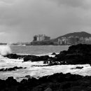 교래자연휴양림야영장 이미지