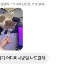 고양이PC&카페 이미지