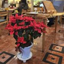 사랑방수제비 이미지