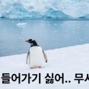 환경종합 행정사 이미지