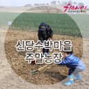 김명수 농장 이미지