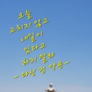 11 수 해 세계의 출산 정책 이미지