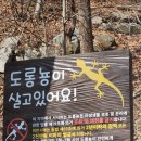 용문산자연휴양림 | [ 경기도 가볼만한곳 ] 양평 한국의 마테호른 용문산 자연휴양림에서 백운봉 통일암 등산코스