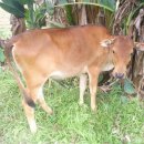 태일농장 이미지