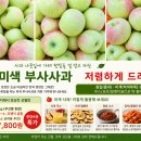 주스용,요리활용 미색부사사과 17,800원 50BOX 이미지