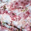 복산동-1 이미지