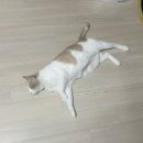 혜진나물 | 3월 일기