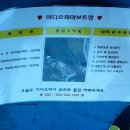 김프로바이크 이미지