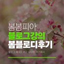 핵심 쏙쏙 알기 쉬운 회계기초 (2) | 블로그강의 봄봄피아스터디 봄블로디 11기 찐후기 내변화
