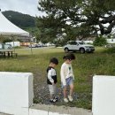 거제비타민씨 이미지