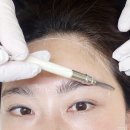 디자인삼월 이미지