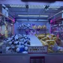 뽀끼뽀끼2 이미지