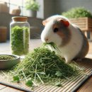 🐹 기니피그 털 관리의 비밀! 지금 꼭 알아야 할 브러싱 요령 &amp; 추천 도구 ✂️