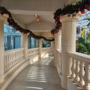 일월수목원전시온실 이미지