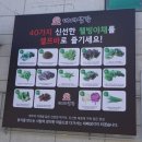 대패생각 네이버블로그
