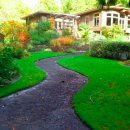 마당있는집 이미지