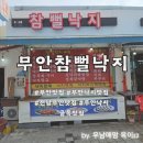 무안낙지골목맛집 참뻘낙지 다녀온 후기