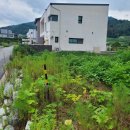 바로건축 이미지