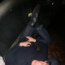 규니규니 | 하루살이 인생도 행복할 수 있다