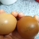 제암농장 이미지