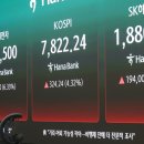 1331 매일경제