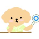 올댓뷰티아카데미대구