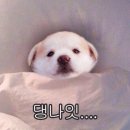 카페달리 이미지