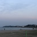 물치해수욕장 화장실 이미지