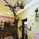 꽃뫼로_1 이미지