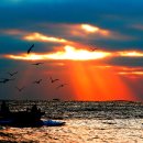 빛이 있으라 이미지