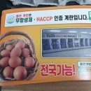 참좋은계란 이미지