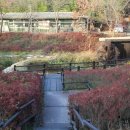 왕송못동로 이미지