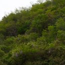 통영시청(별관) 이미지