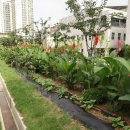 마을정원유지관리 이미지