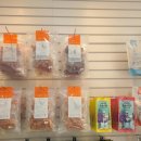 퐁실하개 이미지